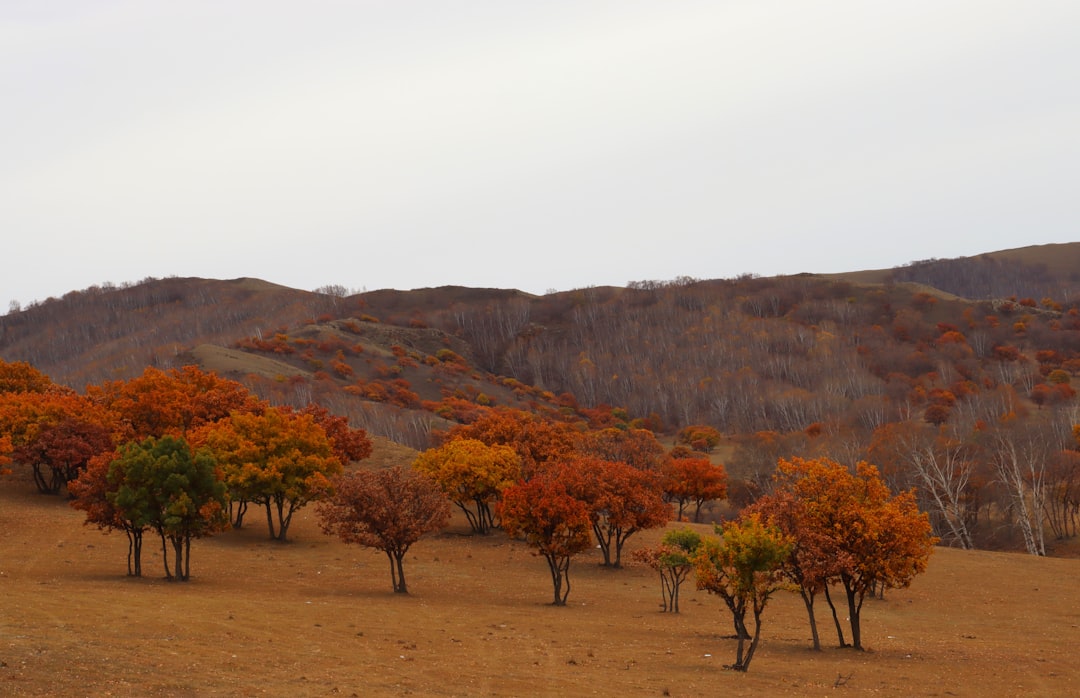 anahikes-com_72fd5d19 anahikes-com_72fd5d19