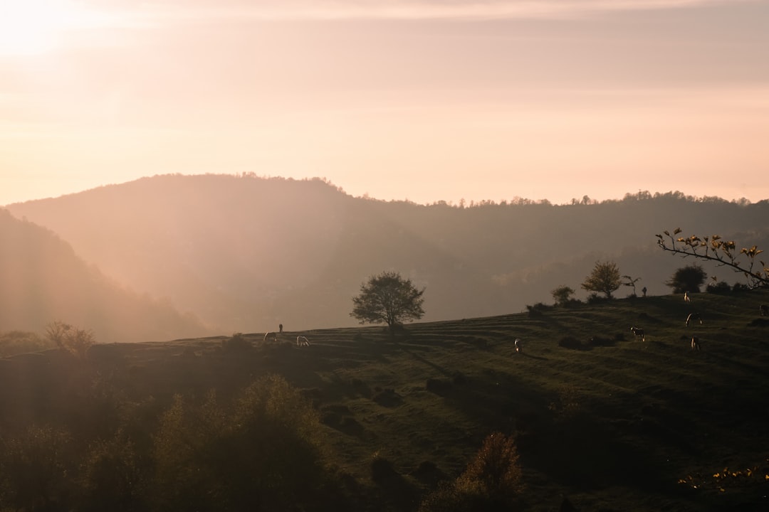 anahikes-com_f5c151e4 anahikes-com_f5c151e4